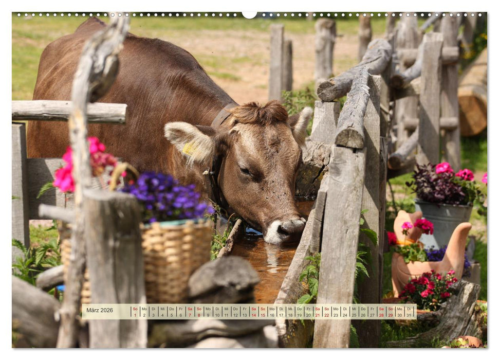 Almenglück (CALVENDO Premium Wandkalender 2026)