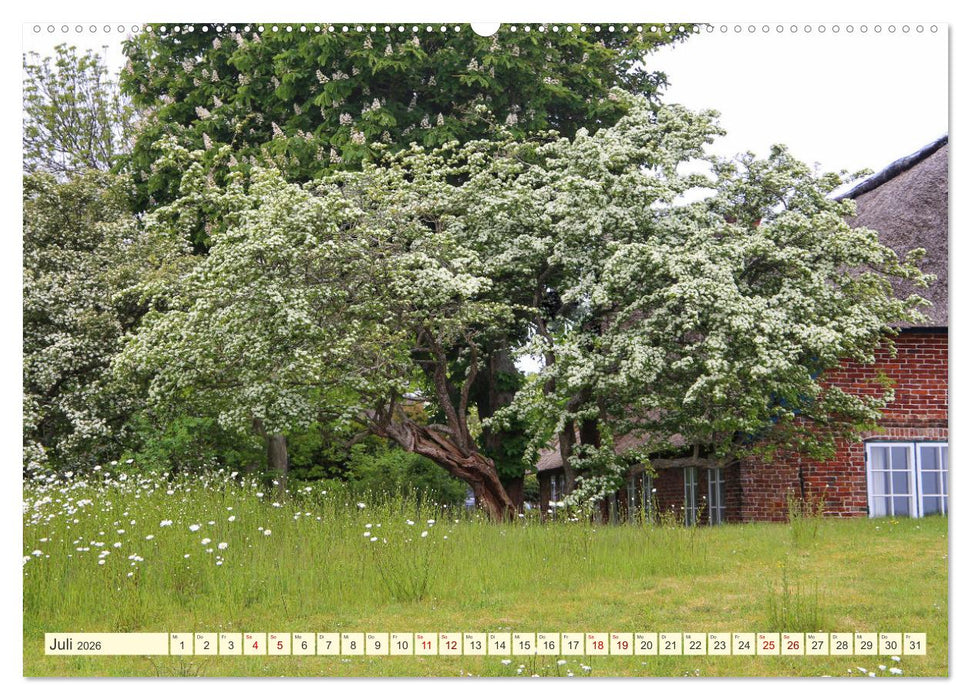 Bäume, der Atem der Natur (CALVENDO Premium Wandkalender 2026)