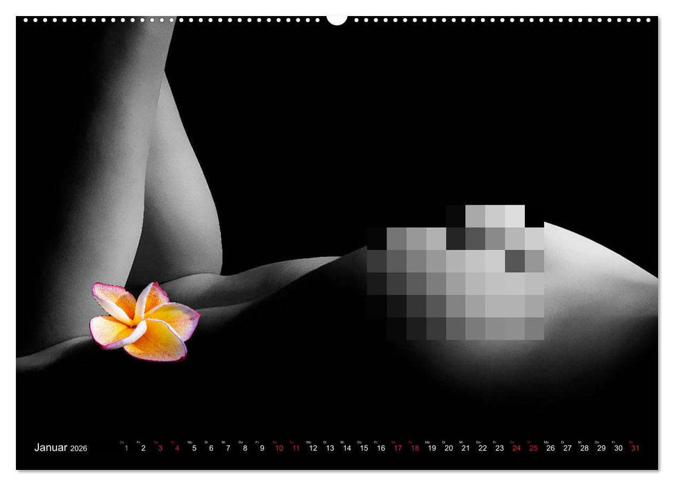 Erotik Art etwas Blumig POMBASTISCH (CALVENDO Premium Wandkalender 2026)