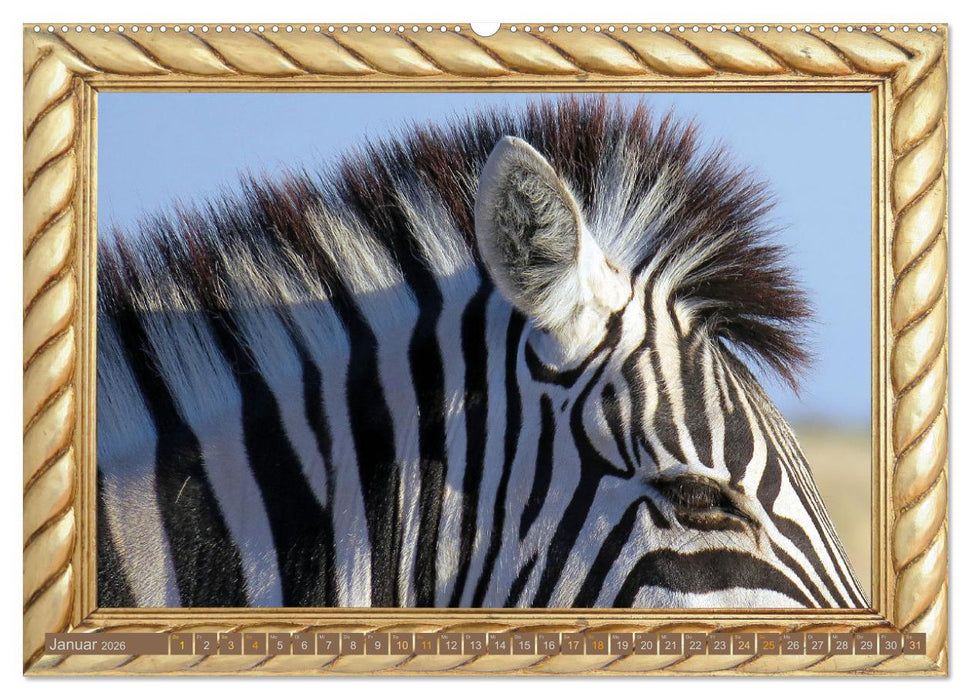 Augenblicke aus Afrika (CALVENDO Premium Wandkalender 2026)