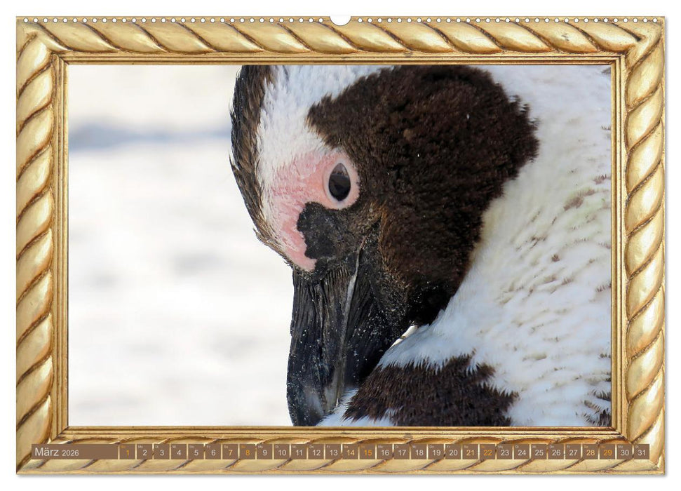 Augenblicke aus Afrika (CALVENDO Premium Wandkalender 2026)