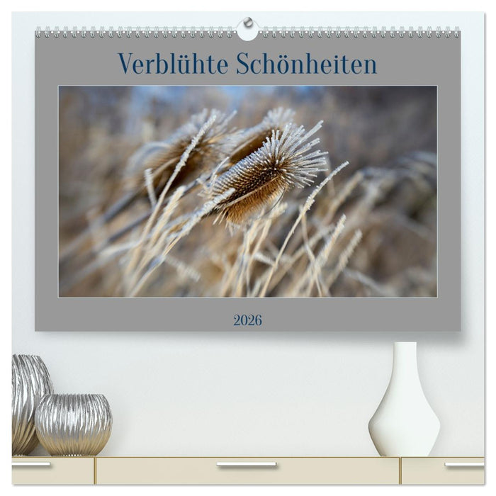 Verblühte Schönheiten (CALVENDO Premium Wandkalender 2026)