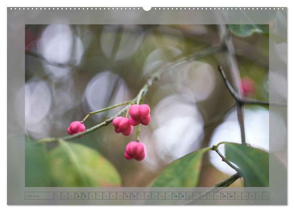 Verblühte Schönheiten (CALVENDO Premium Wandkalender 2026)