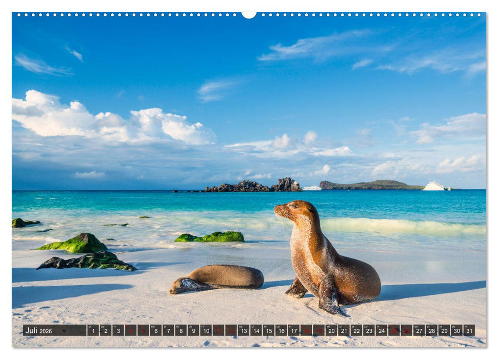 Die faszinierende Tierwelt der Galapagos-Inseln (CALVENDO Premium Wandkalender 2026)
