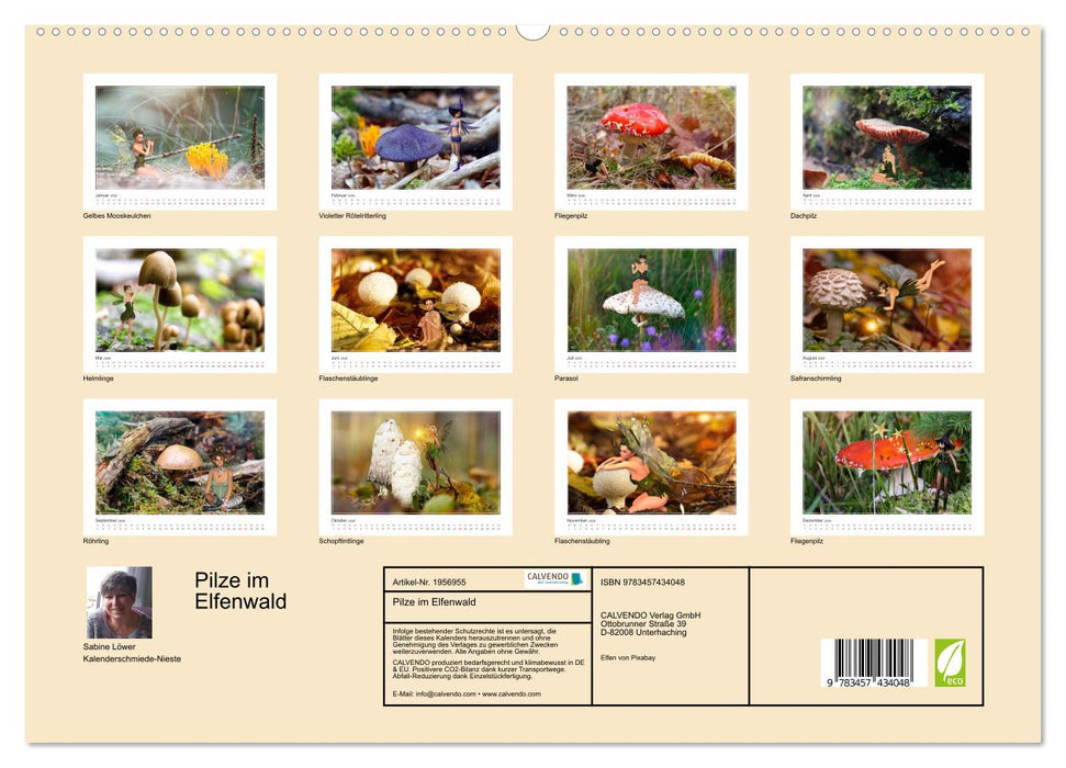 Pilze im Elfenwald (CALVENDO Premium Wandkalender 2026)