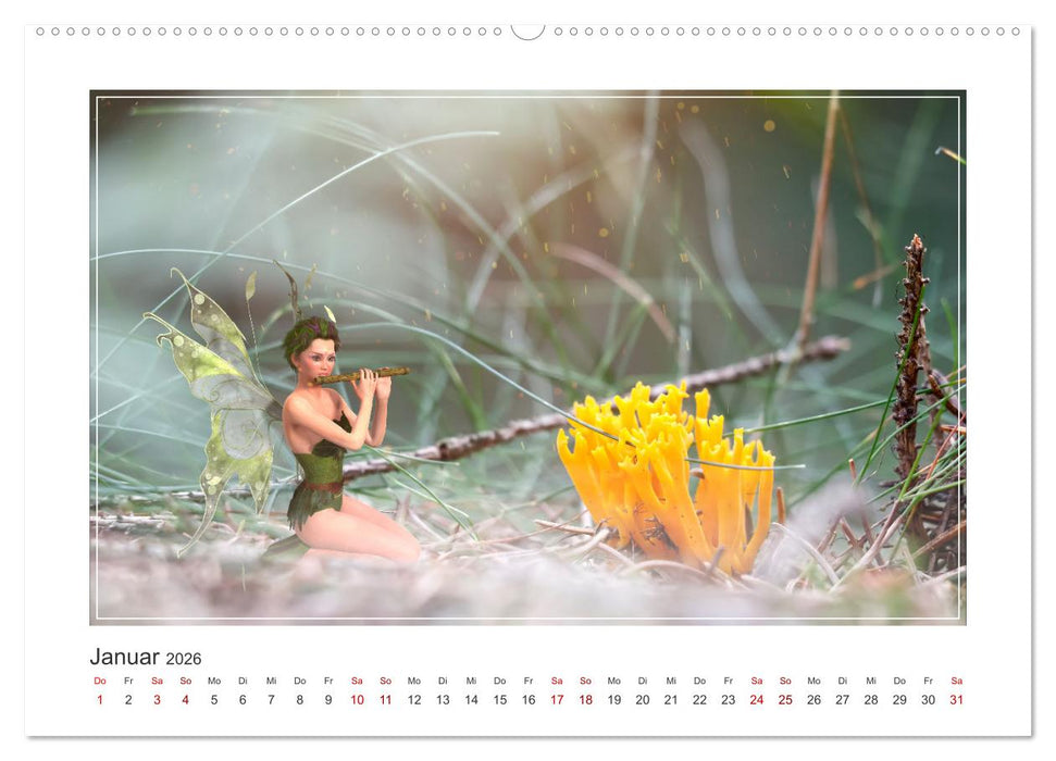 Pilze im Elfenwald (CALVENDO Premium Wandkalender 2026)