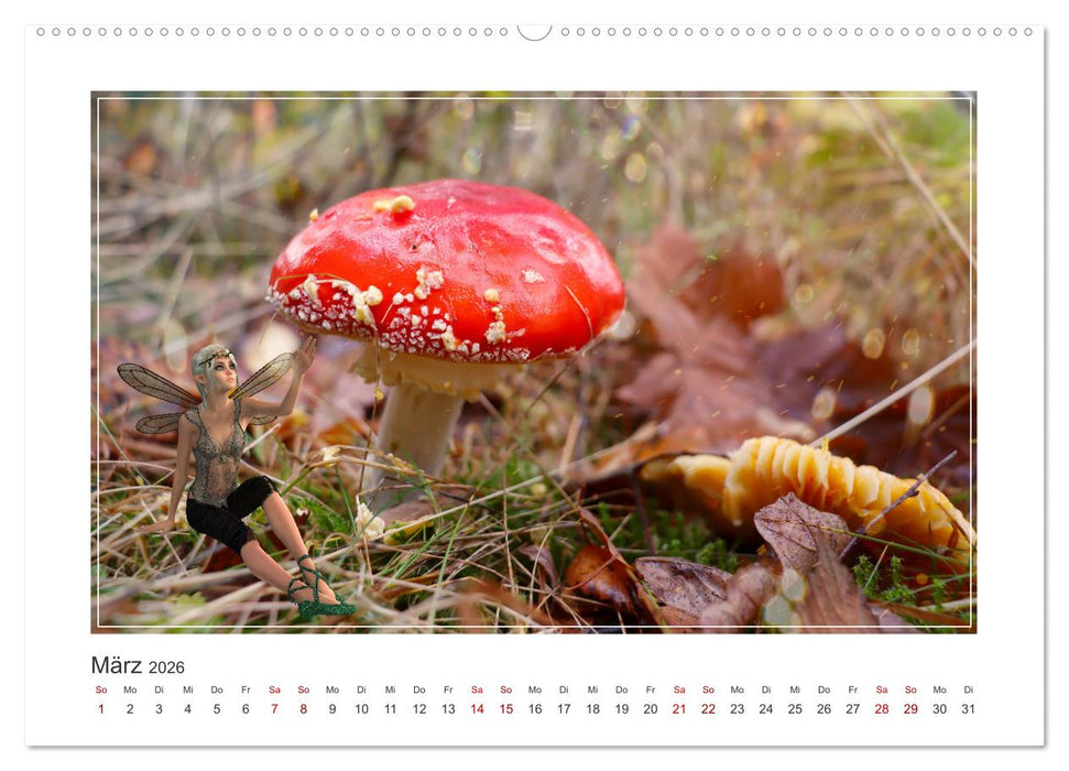 Pilze im Elfenwald (CALVENDO Premium Wandkalender 2026)