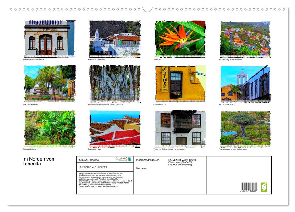 Im Norden von Teneriffa (CALVENDO Wandkalender 2026)