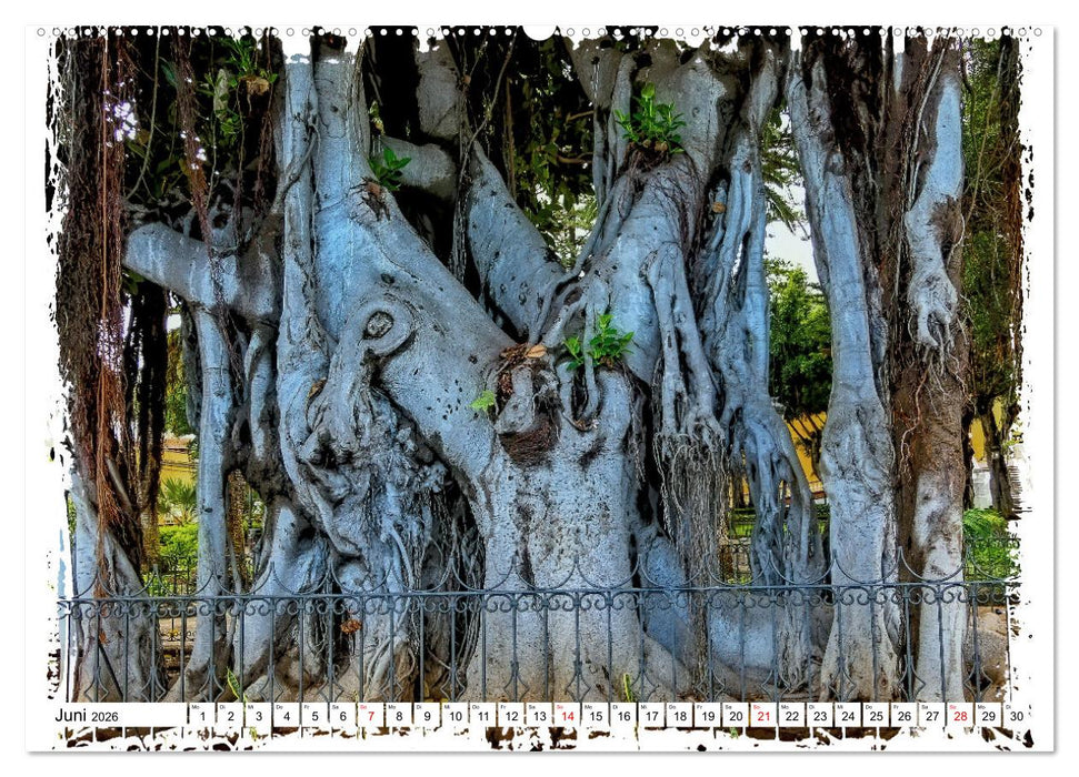 Im Norden von Teneriffa (CALVENDO Wandkalender 2026)