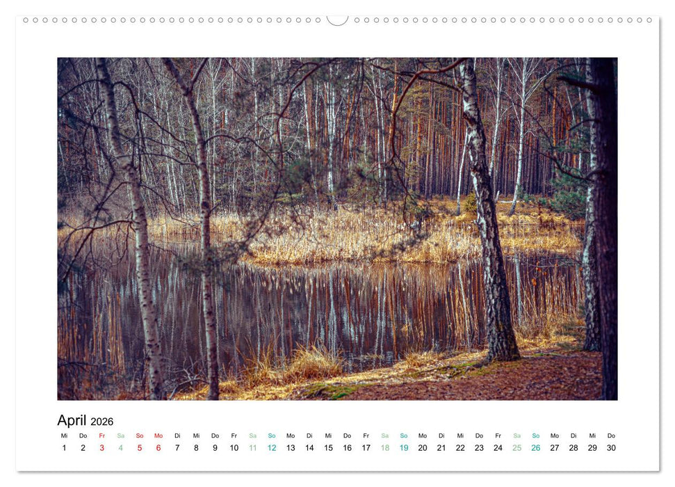 Seenlandschaften Landkreis Teltow-Fläming (CALVENDO Premium Wandkalender 2026)