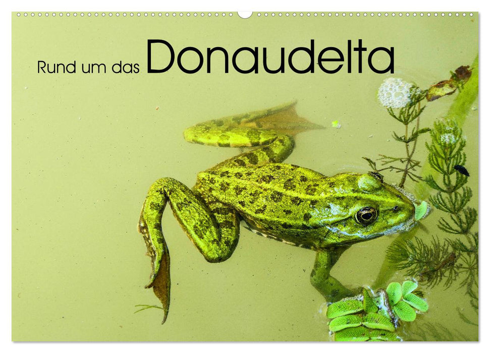 Rund um das Donaudelta (CALVENDO Wandkalender 2026)
