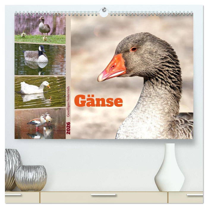Gänse, geselliges Federvieh (CALVENDO Premium Wandkalender 2026)