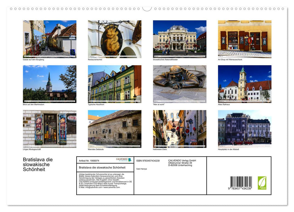 Bratislava die slowakische Schönheit (CALVENDO Premium Wandkalender 2026)