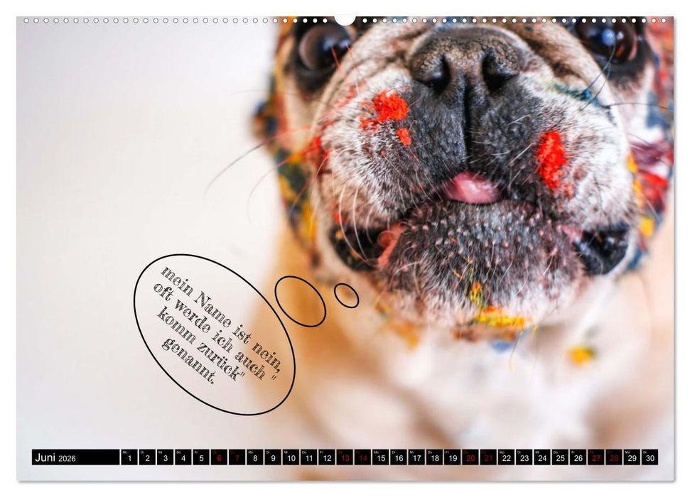 Hundeportraits, Hunde sind unsere besten Freunde by VogtArt (CALVENDO Premium Wandkalender 2026)