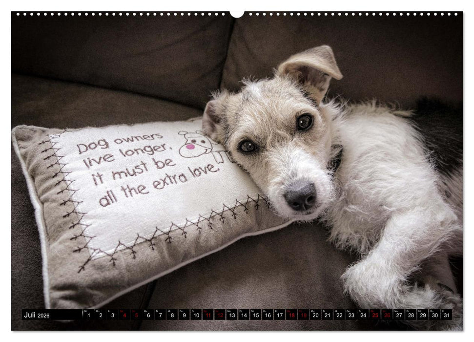 Hundeportraits, Hunde sind unsere besten Freunde by VogtArt (CALVENDO Premium Wandkalender 2026)