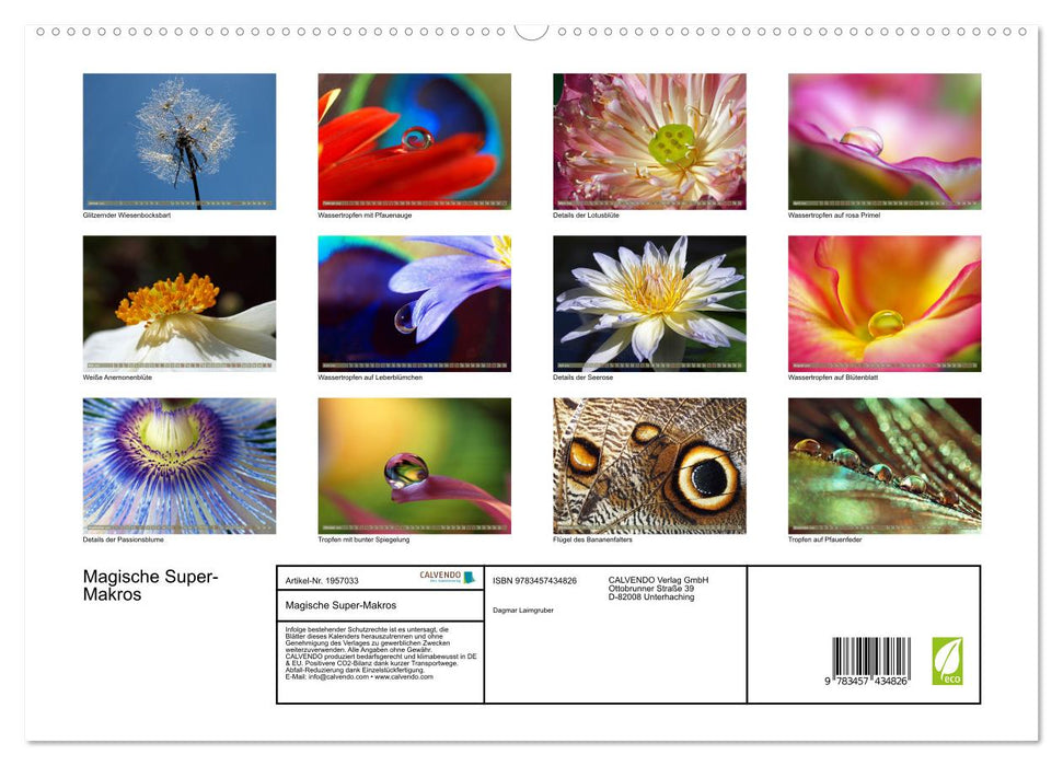 Magische Super-Makros (CALVENDO Premium Wandkalender 2026)