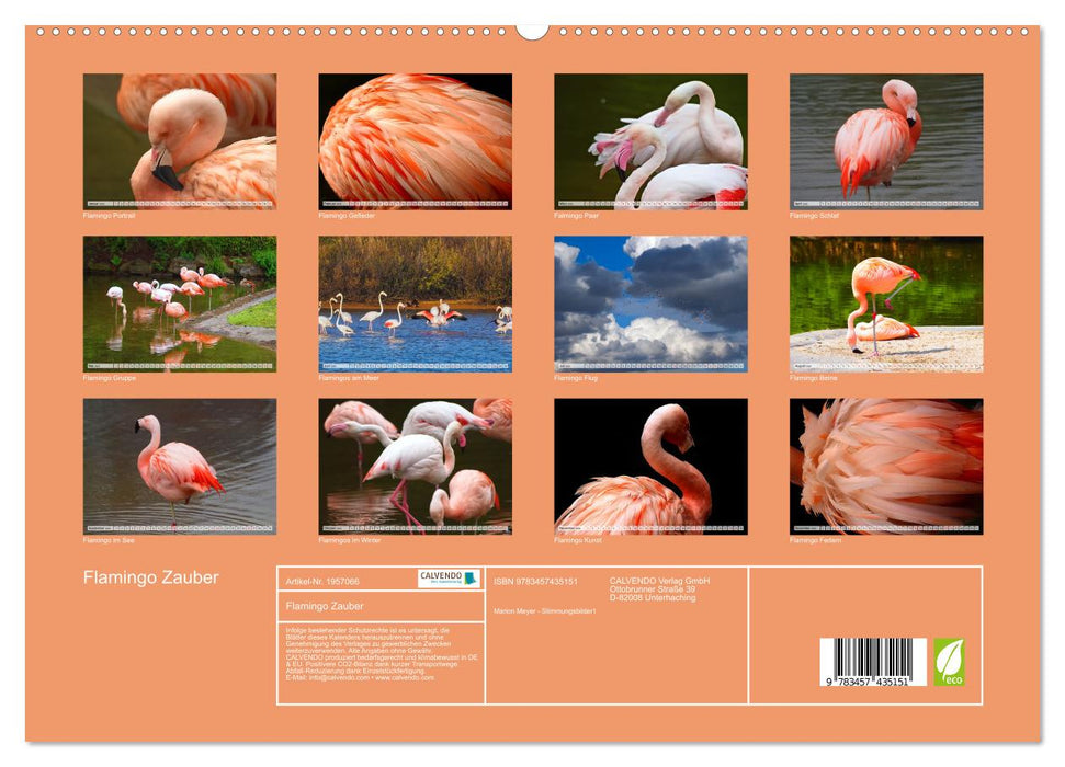 Flamingo Zauber (CALVENDO Premium Wandkalender 2026)