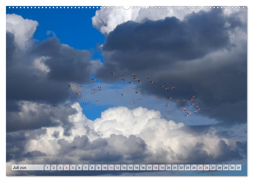 Flamingo Zauber (CALVENDO Premium Wandkalender 2026)
