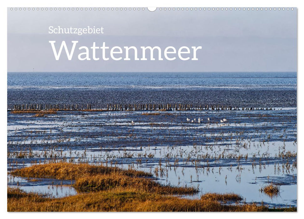 Schutzgebiet Wattenmeer (CALVENDO Wandkalender 2026)
