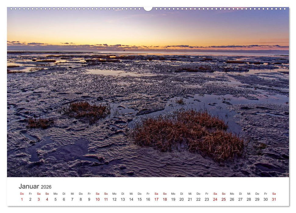 Schutzgebiet Wattenmeer (CALVENDO Wandkalender 2026)