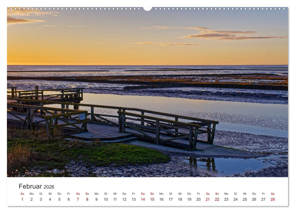 Schutzgebiet Wattenmeer (CALVENDO Wandkalender 2026)