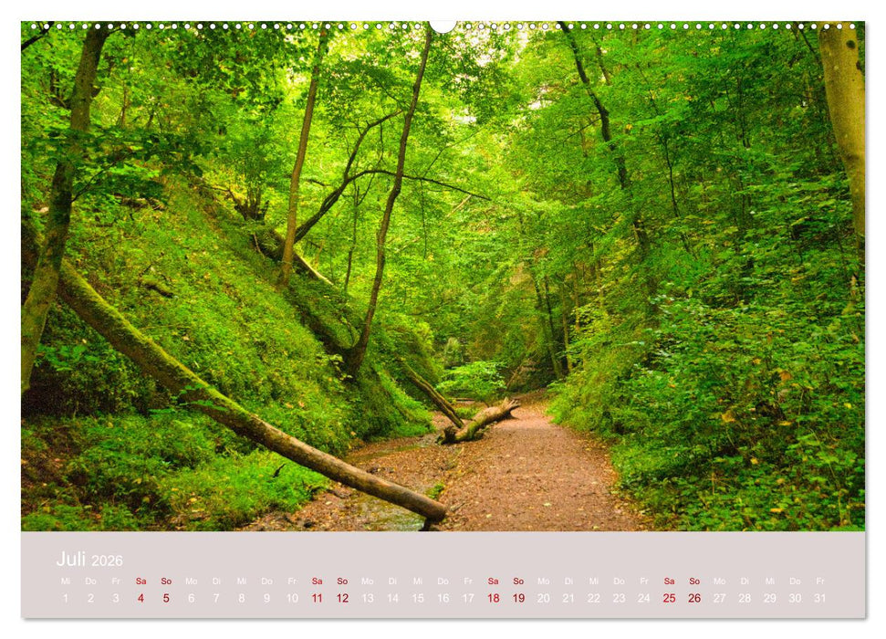 Naturerlebnis Thüringen (CALVENDO Premium Wandkalender 2026)
