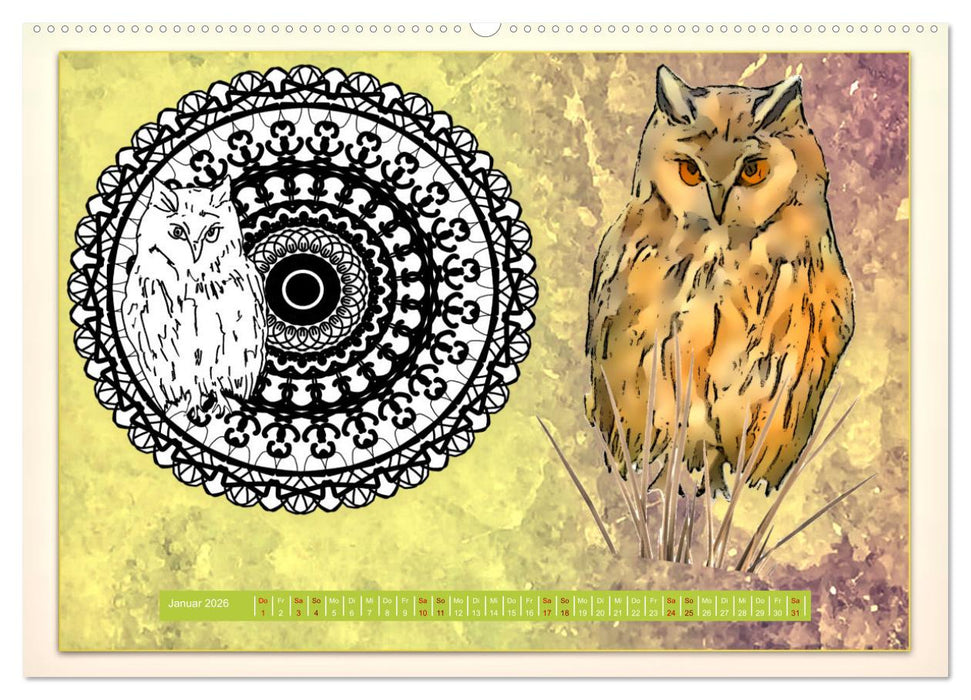 Mandalas 2026 - Beruhigende Momente (CALVENDO Wandkalender 2026)