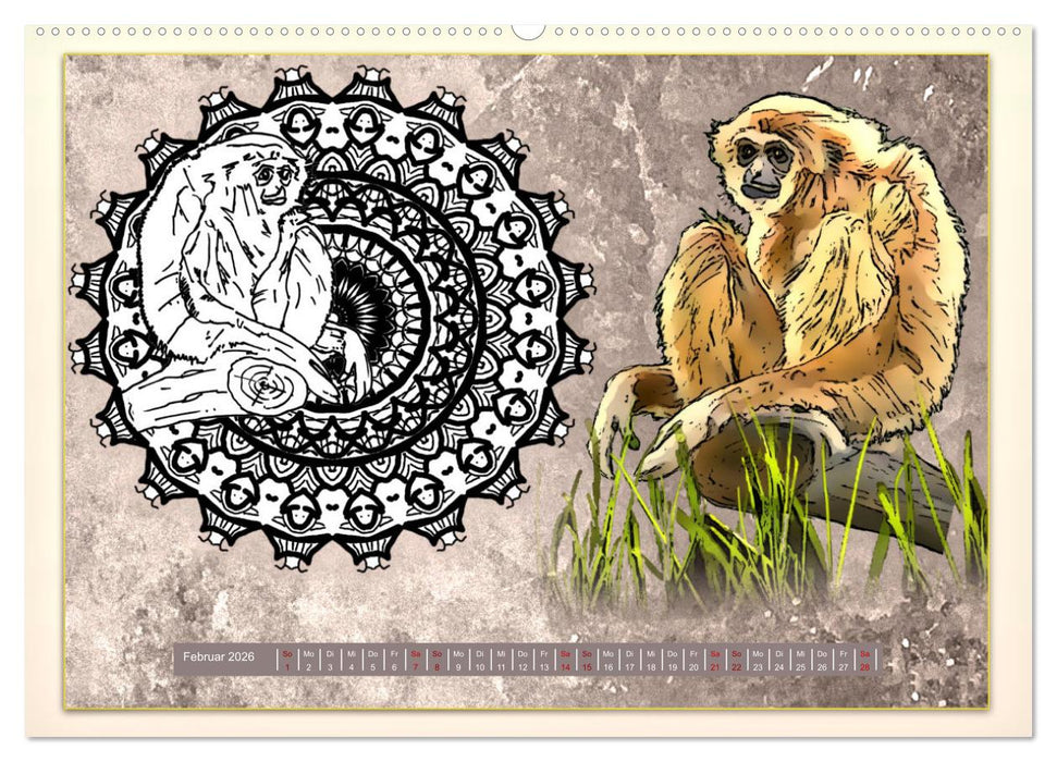 Mandalas 2026 - Beruhigende Momente (CALVENDO Wandkalender 2026)