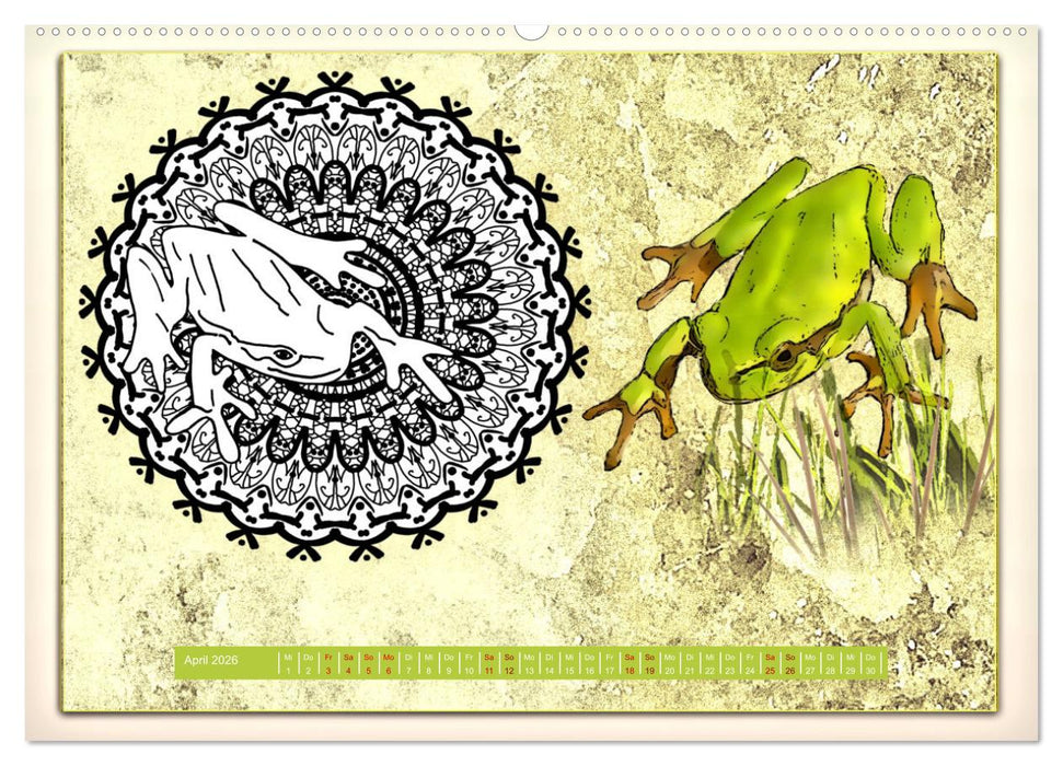 Mandalas 2026 - Beruhigende Momente (CALVENDO Wandkalender 2026)