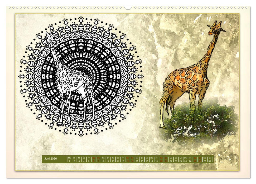 Mandalas 2026 - Beruhigende Momente (CALVENDO Wandkalender 2026)