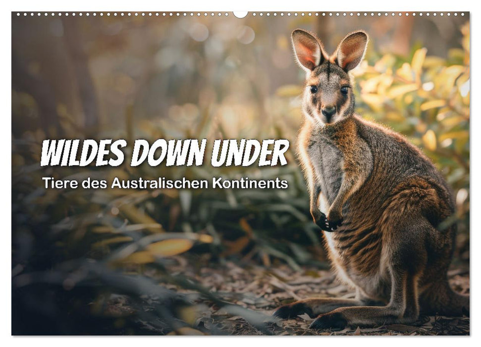 Wildes Down Under: Tiere des Australischen Kontinents (CALVENDO Wandkalender 2026)