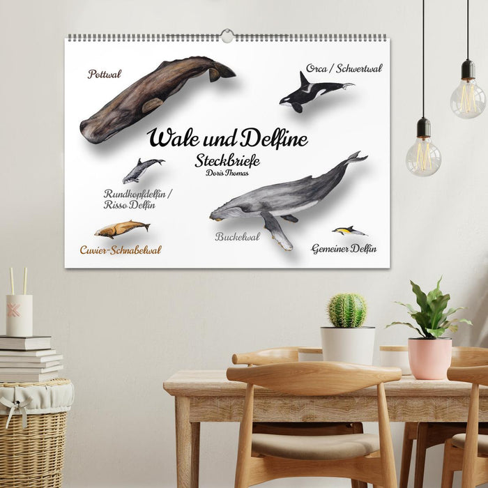 Wale und Delfine Steckbriefe (CALVENDO Wandkalender 2026)