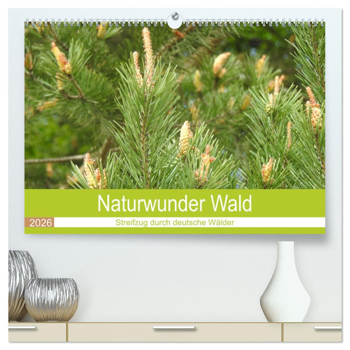Naturwunder Wald (CALVENDO Premium Wandkalender 2026)