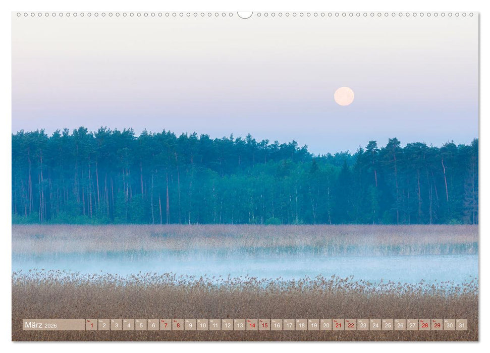 Stille Naturmomente (CALVENDO Premium Wandkalender 2026)