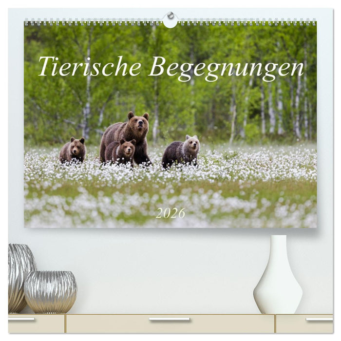 Tierische Begegnungen (CALVENDO Premium Wandkalender 2026)