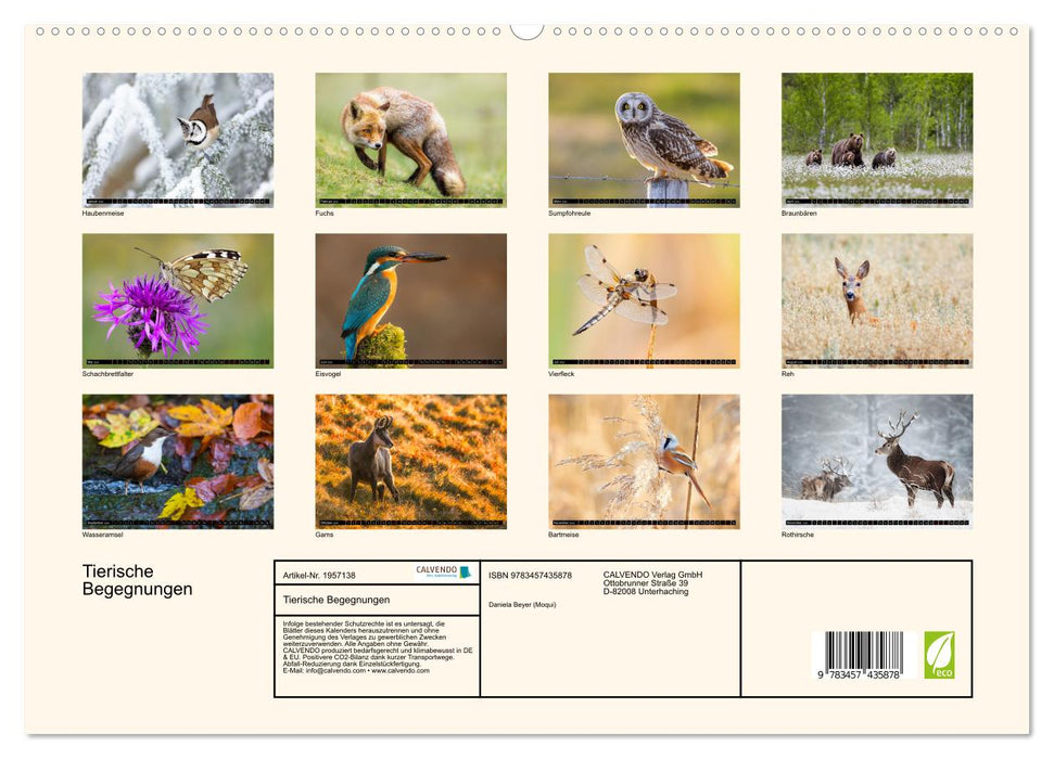 Tierische Begegnungen (CALVENDO Premium Wandkalender 2026)