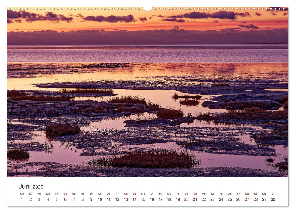 Schutzgebiet Wattenmeer (CALVENDO Premium Wandkalender 2026)