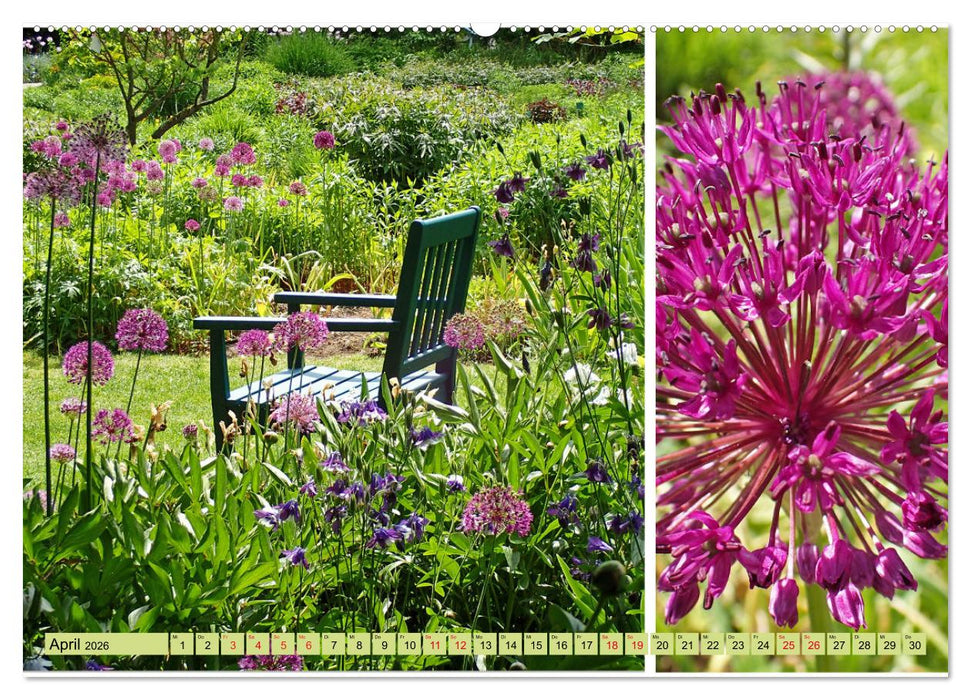 Farbenprächtige Stauden im Hermannshof in Weinheim (CALVENDO Premium Wandkalender 2026)