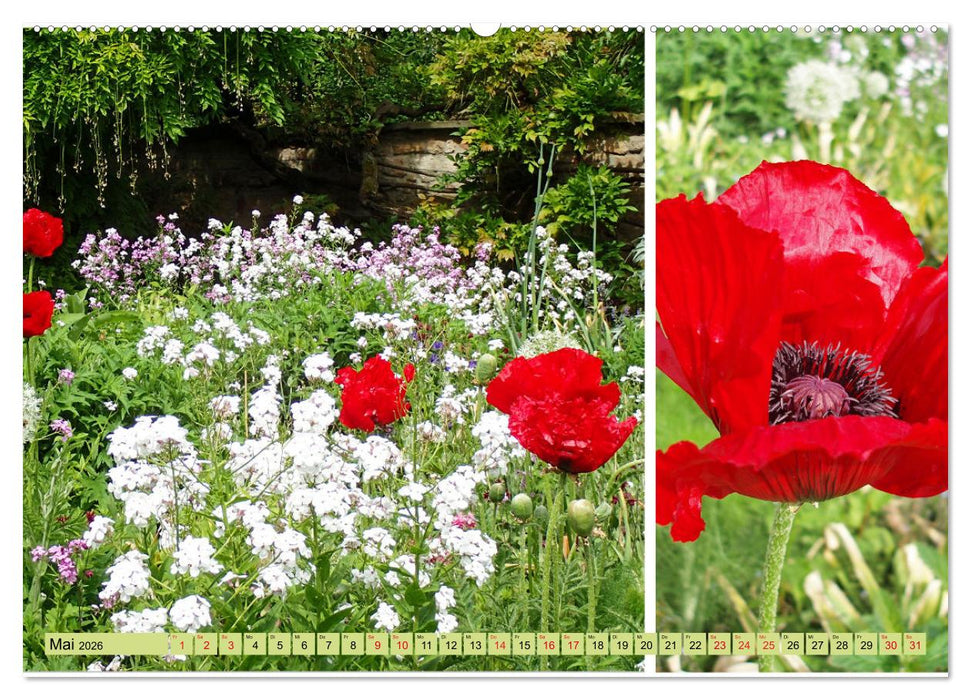 Farbenprächtige Stauden im Hermannshof in Weinheim (CALVENDO Premium Wandkalender 2026)