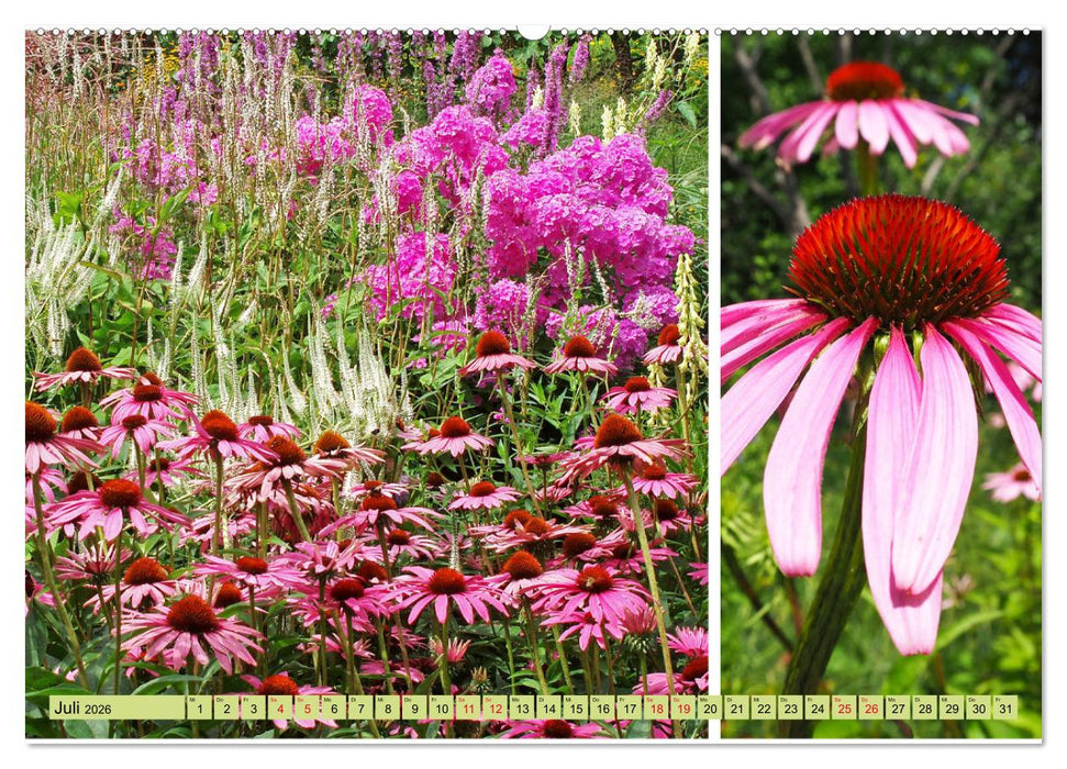 Farbenprächtige Stauden im Hermannshof in Weinheim (CALVENDO Premium Wandkalender 2026)