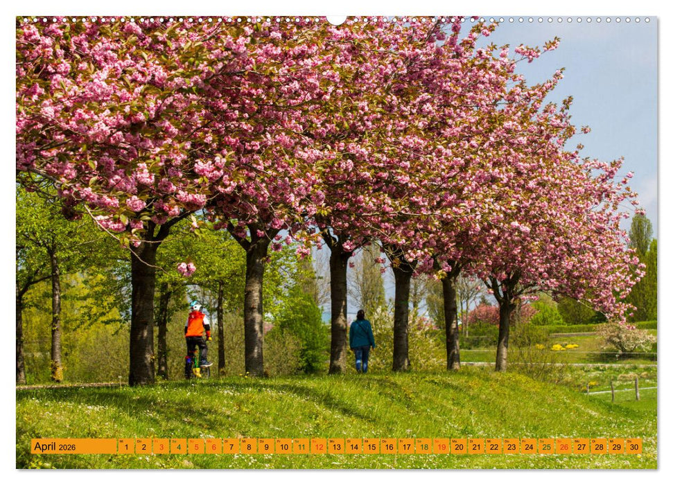 Wismarer Bucht - Impressionen zwischen Klützer Winkel und der Insel Poel (CALVENDO Premium Wandkalender 2026)