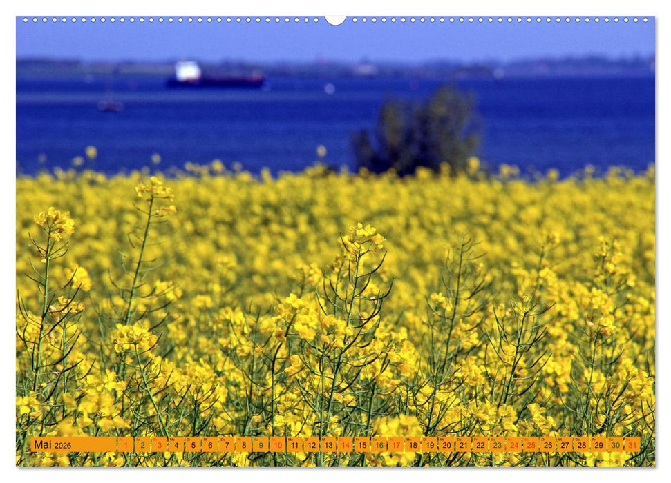 Wismarer Bucht - Impressionen zwischen Klützer Winkel und der Insel Poel (CALVENDO Premium Wandkalender 2026)