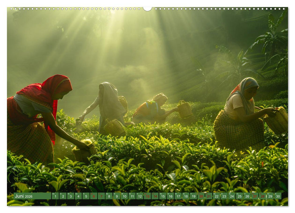 Teezeit Träume (CALVENDO Premium Wandkalender 2026)