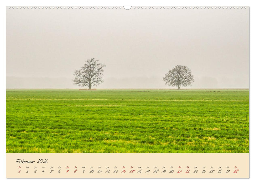 Friedländer Große Wiese (CALVENDO Premium Wandkalender 2026)