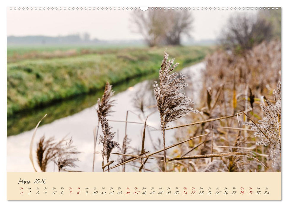 Friedländer Große Wiese (CALVENDO Premium Wandkalender 2026)