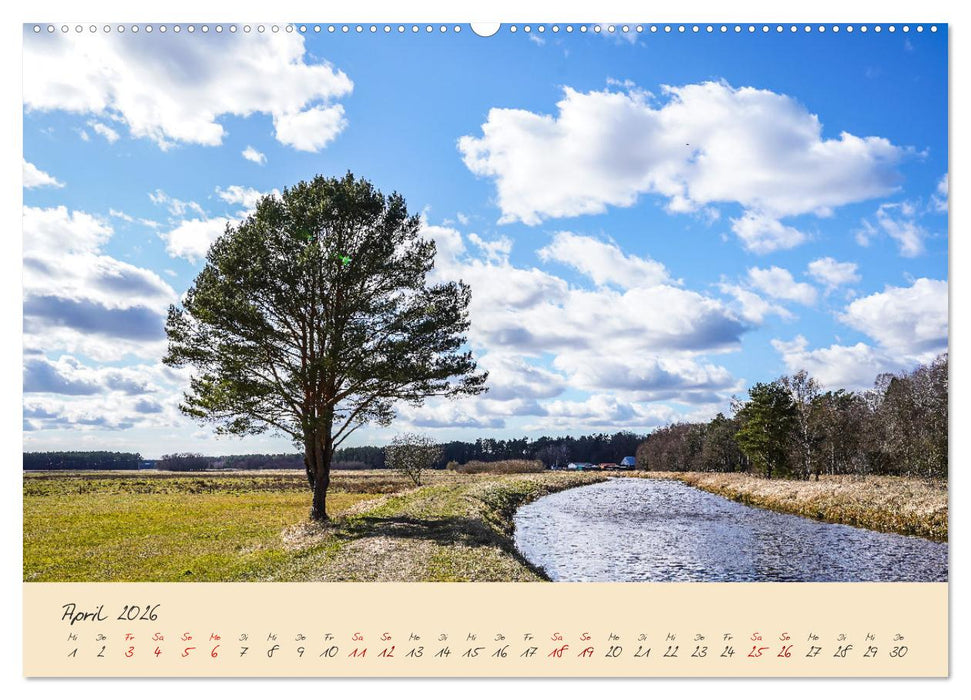 Friedländer Große Wiese (CALVENDO Premium Wandkalender 2026)