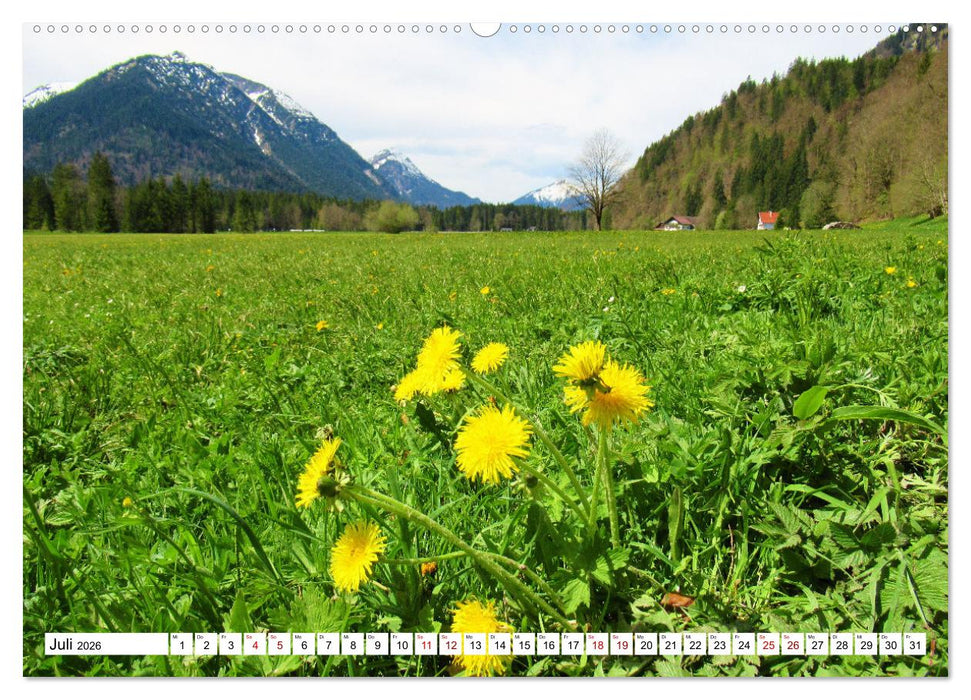 Das Graswangtal (CALVENDO Premium Wandkalender 2026)