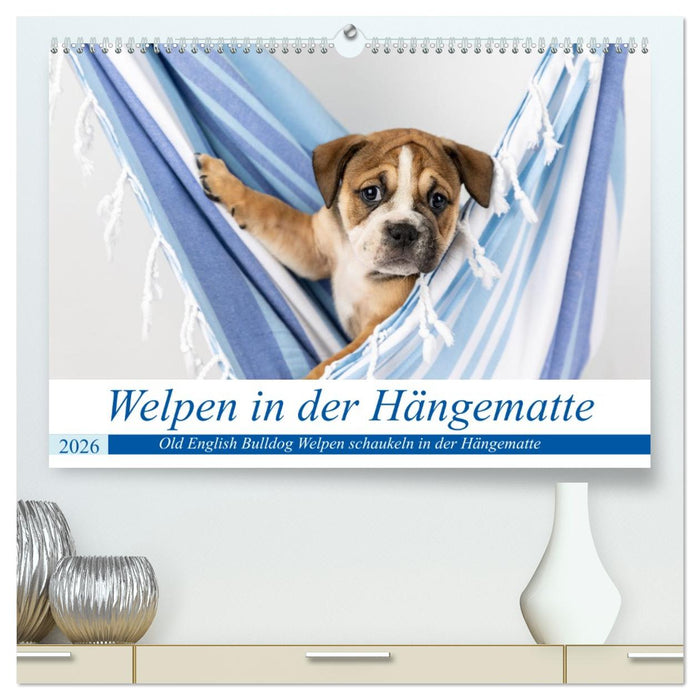 Welpen in der Hängematte (CALVENDO Premium Wandkalender 2026)