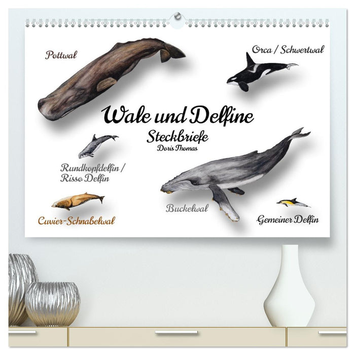 Wale und Delfine Steckbriefe (CALVENDO Premium Wandkalender 2026)