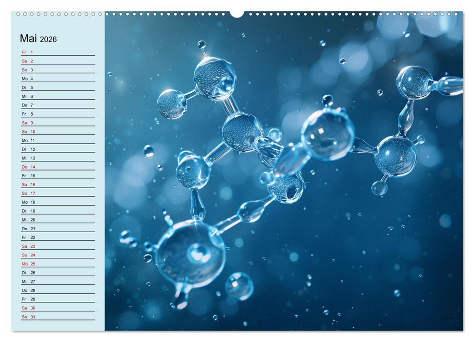 Wenn es stinkt und knallt (CALVENDO Premium Wandkalender 2026)